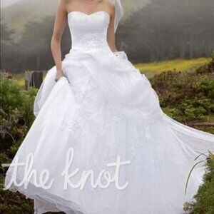 David’s Bridal Size 12 Tulle Ball Gown Wedding Dress Lace-Up Back Chapel Train